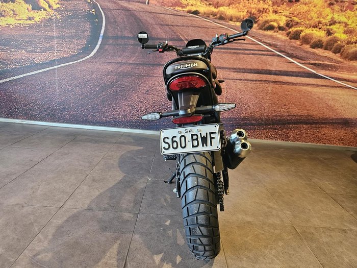 2024 Triumph Scrambler 400 X Scrambler White