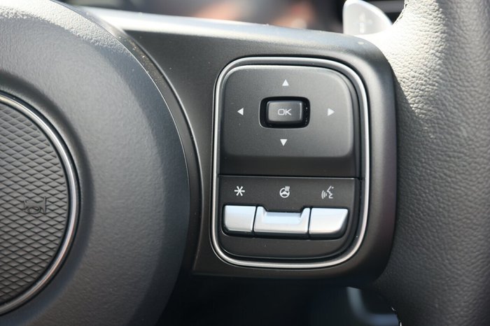 2025 GWM Cannon Vanta