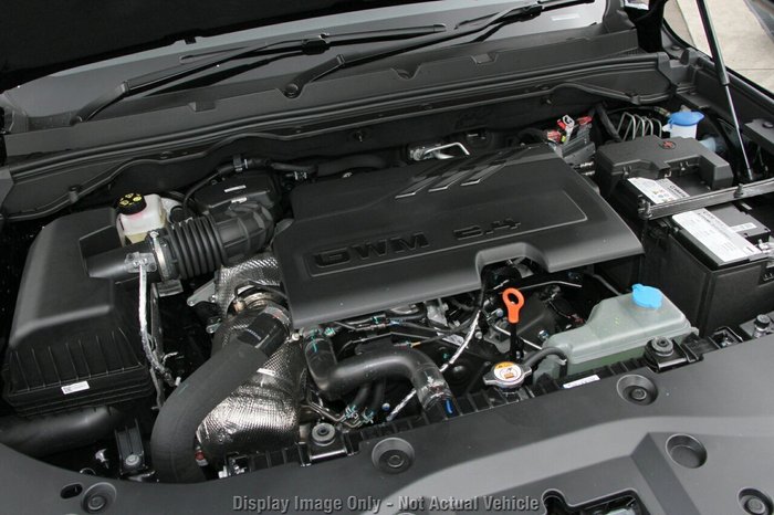 2025 GWM Cannon Vanta