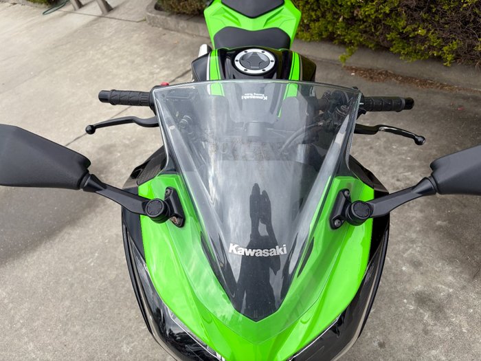 2017 Kawasaki NINJA 300 Green