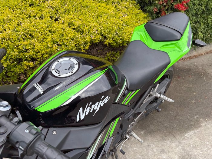 2017 Kawasaki NINJA 300 Green
