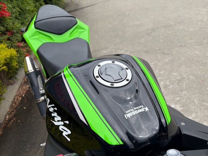 2017 Kawasaki NINJA 300 Green