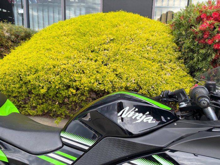 2017 Kawasaki NINJA 300 Green