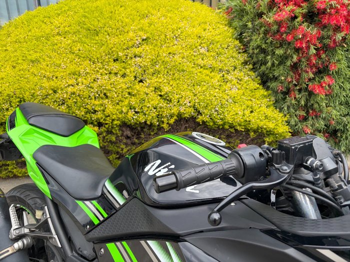 2017 Kawasaki NINJA 300 Green