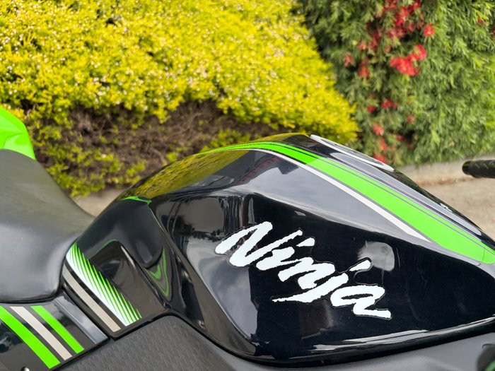 2017 Kawasaki NINJA 300 Green