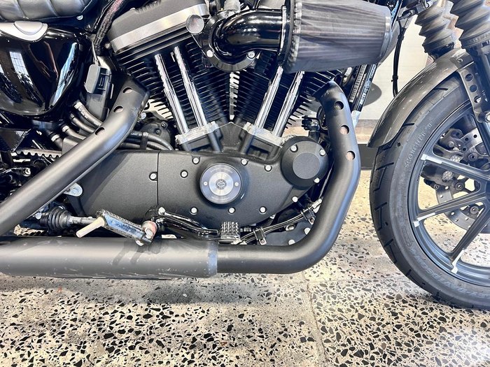 2019 Harley-Davidson Iron 883 (XL883N) Sportster