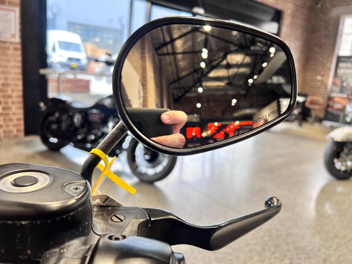 2019 Harley-Davidson Iron 883 (XL883N) Sportster