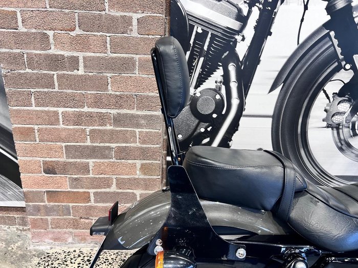 2019 Harley-Davidson Iron 883 (XL883N) Sportster