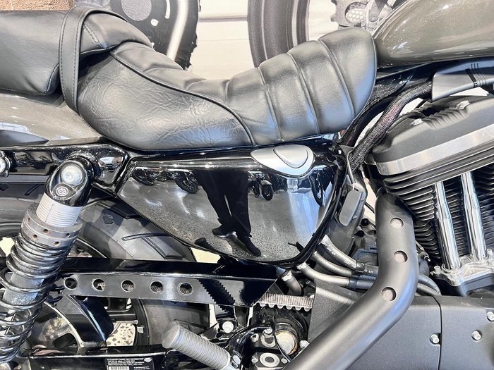 2019 Harley-Davidson Iron 883 (XL883N) Sportster