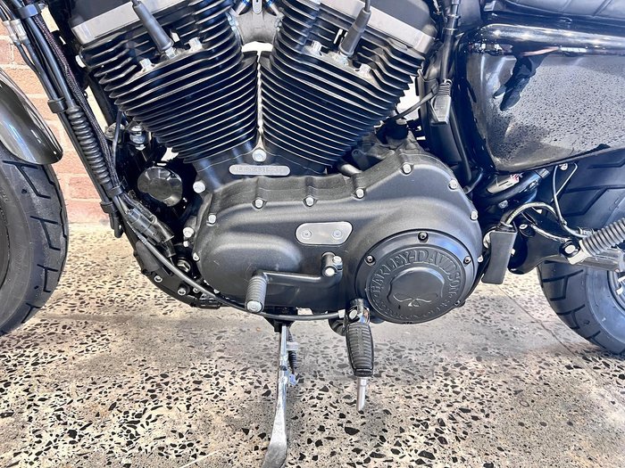 2019 Harley-Davidson Iron 883 (XL883N) Sportster