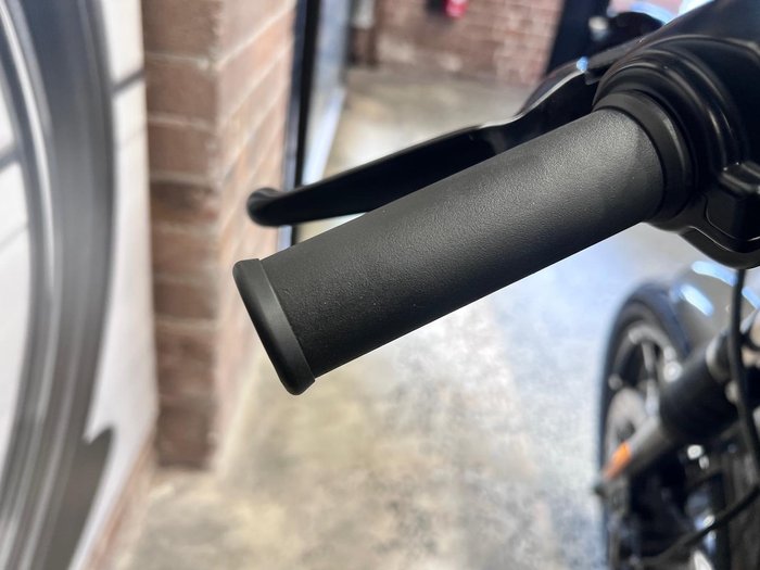 2019 Harley-Davidson Iron 883 (XL883N) Sportster