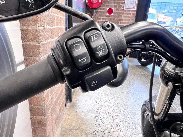 2019 Harley-Davidson Iron 883 (XL883N) Sportster