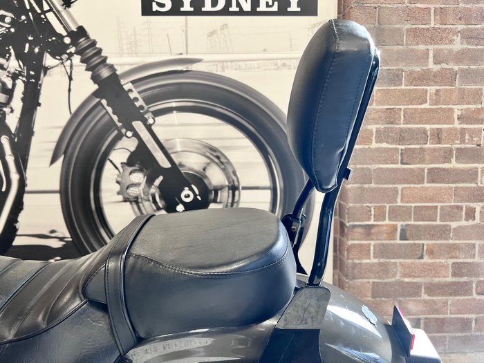 2019 Harley-Davidson Iron 883 (XL883N) Sportster