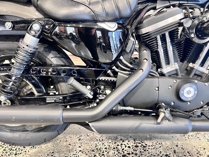 2019 Harley-Davidson Iron 883 (XL883N) Sportster