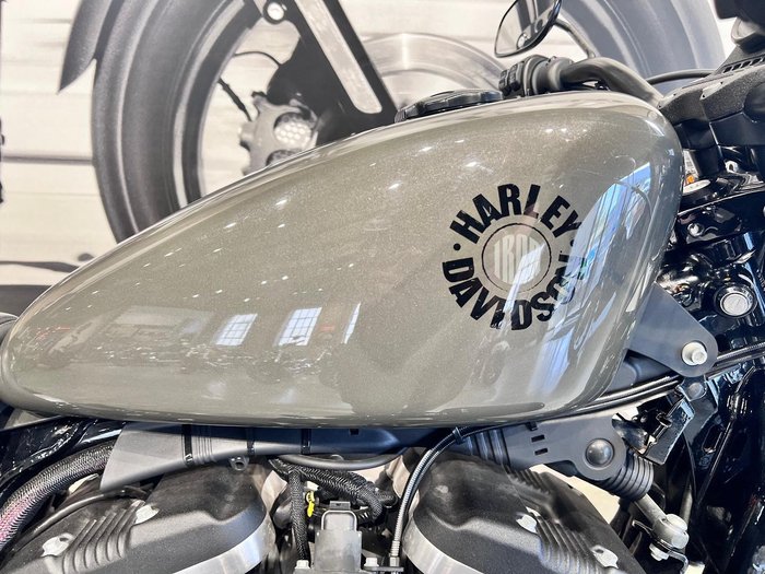2019 Harley-Davidson Iron 883 (XL883N) Sportster