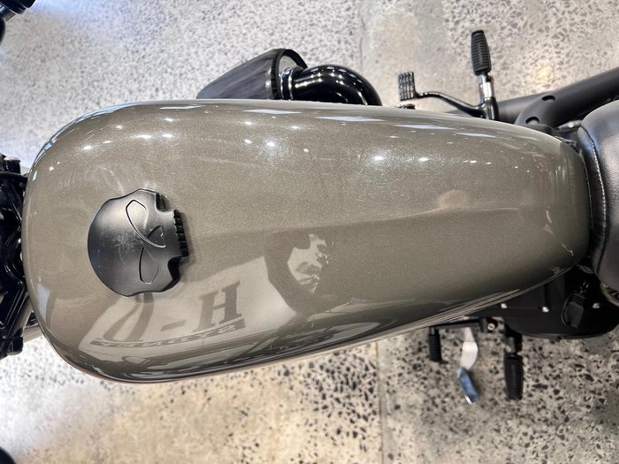 2019 Harley-Davidson Iron 883 (XL883N) Sportster