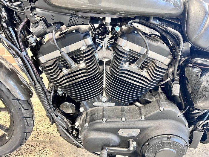 2019 Harley-Davidson Iron 883 (XL883N) Sportster