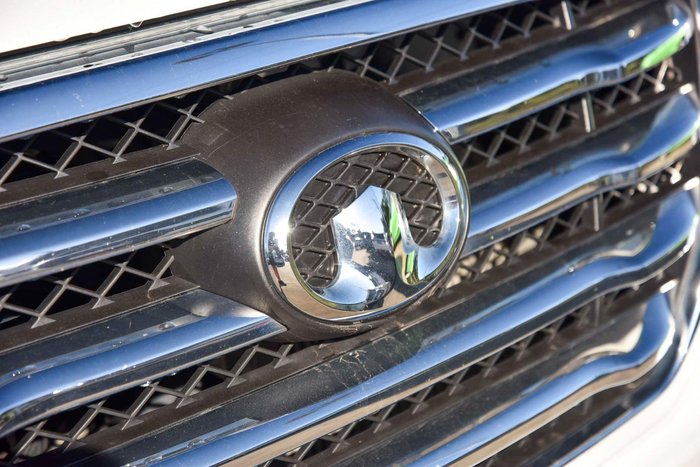 2020 Great Wall Steed