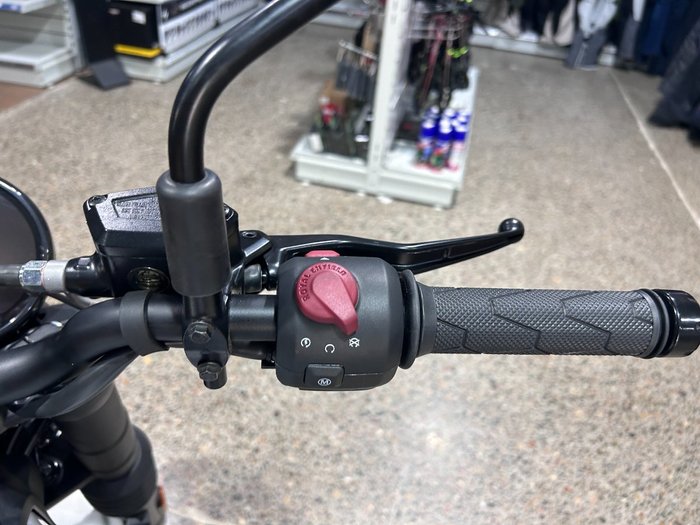 2025 Royal Enfield HIMALAYAN 450 YELLOW