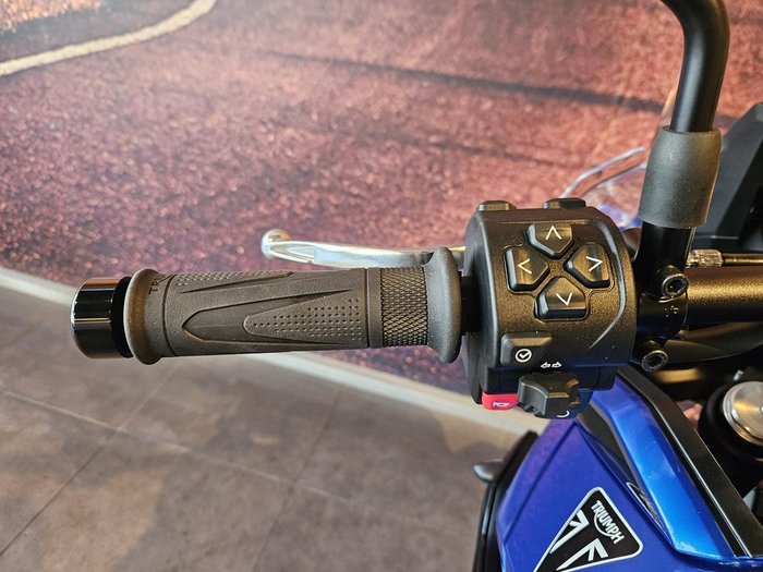 2025 Triumph Tiger Sport 800 Tiger Blue