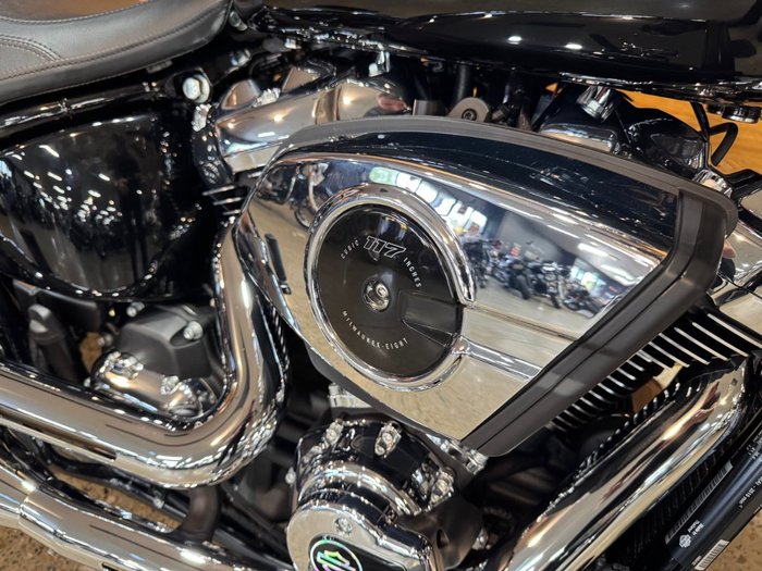 2025 Harley-davidson FLFB FAT BOY (117) Black