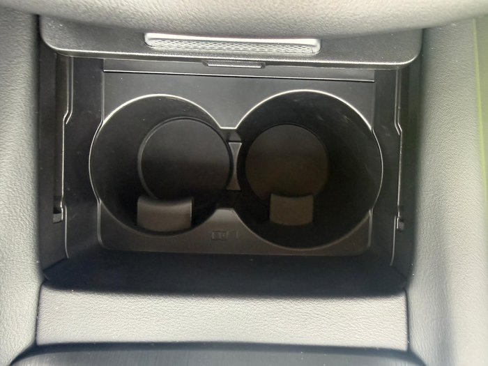 2025 GWM Cannon Premium