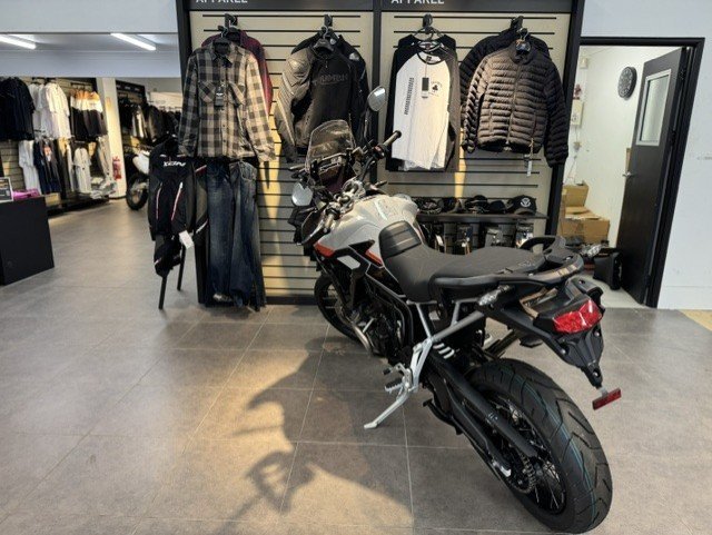 2025 Triumph TIGER 900 RALLY PRO Ash Grey