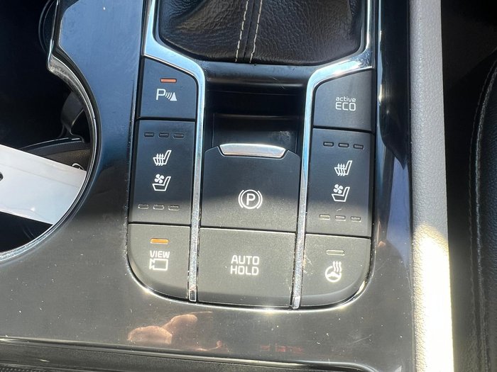 2019 Kia Carnival Platinum