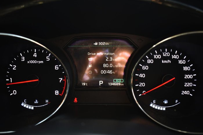 2019 Kia Carnival Platinum