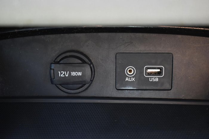 2019 Kia Carnival Platinum