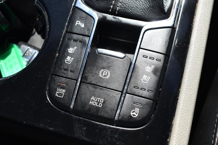 2019 Kia Carnival Platinum