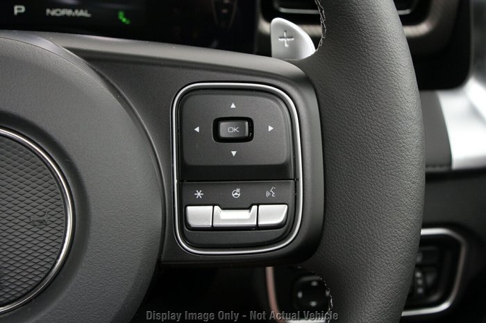 2025 GWM Cannon Vanta