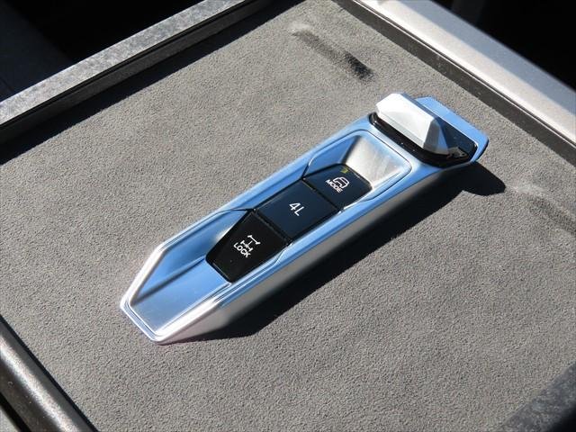 2025 LDV Terron 9 Origin