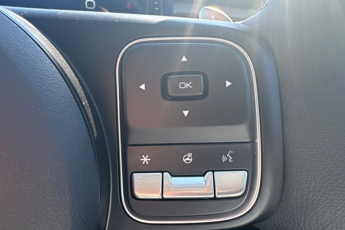 2025 GWM Cannon Vanta