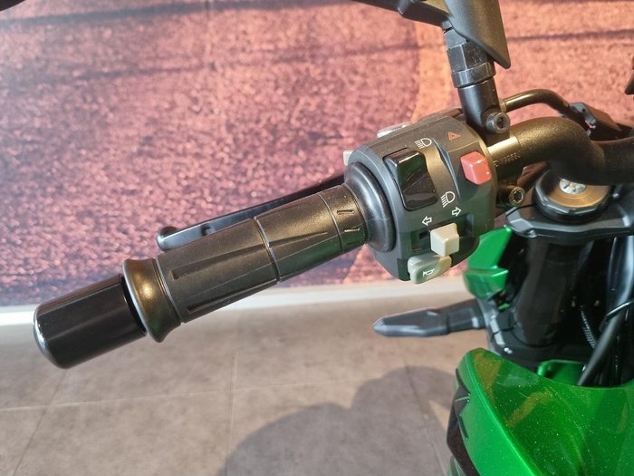 2025 Kawasaki Z1000 ABS Z Green