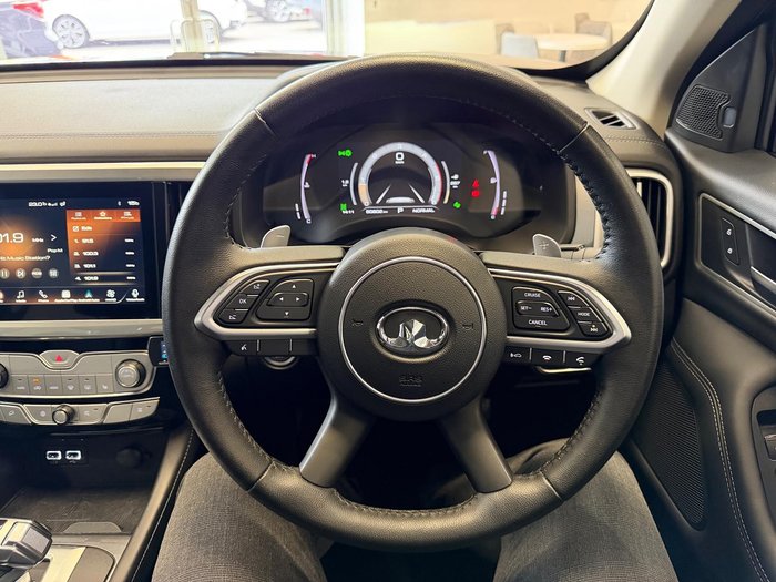 2022 GWM Ute Cannon-X