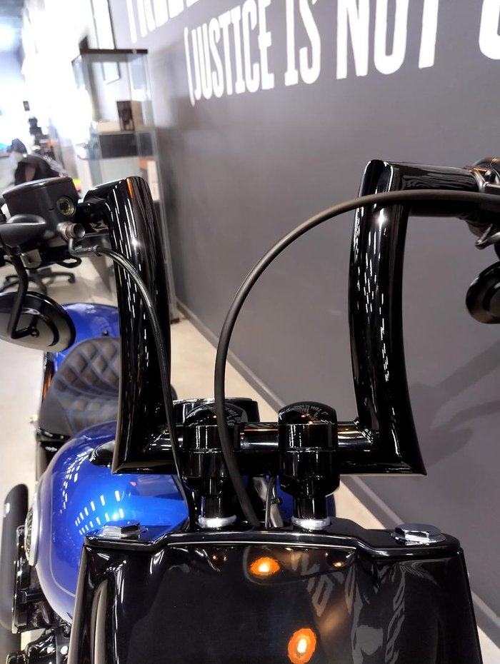 2025 Harley-Davidson Fat Boy 117 (FLFB) Softail Blue