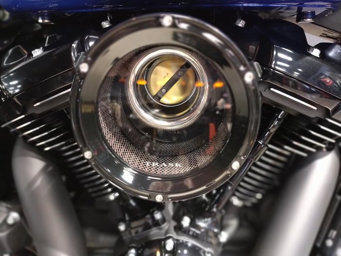 2025 Harley-Davidson Fat Boy 117 (FLFB) Softail Blue