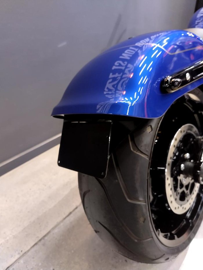 2025 Harley-Davidson Fat Boy 117 (FLFB) Softail Blue