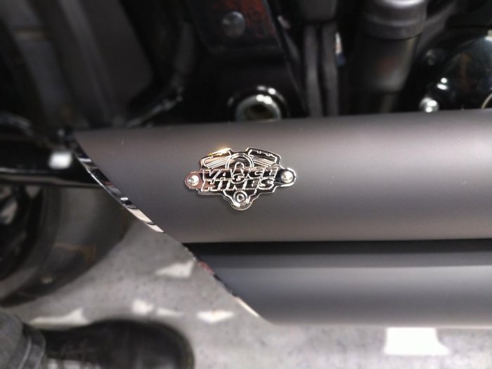 2025 Harley-Davidson Fat Boy 117 (FLFB) Softail Blue