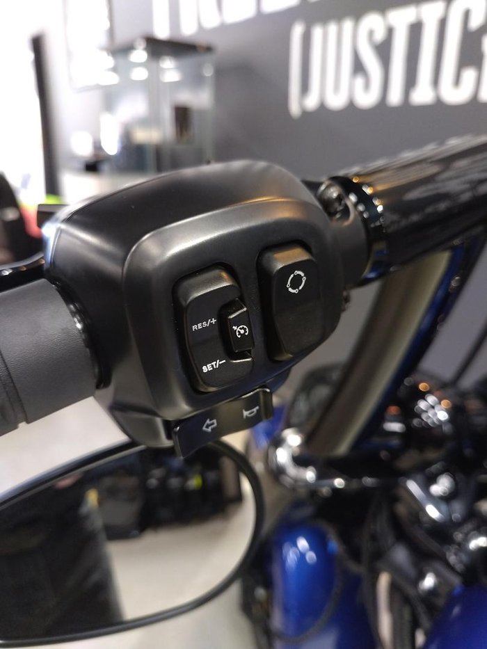 2025 Harley-Davidson Fat Boy 117 (FLFB) Softail Blue