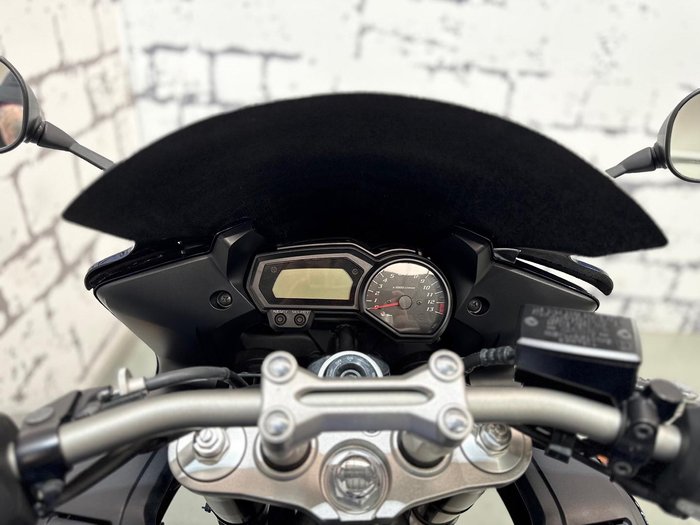 2009 Yamaha FZ1S FZ Blue