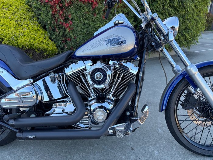 HARLEY-DAVIDSON 2008 HARLEY DAVIDSON 1584CC SOFTAIL CUSTOM