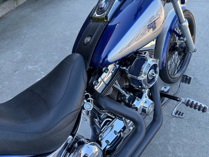 HARLEY-DAVIDSON 2008 HARLEY DAVIDSON 1584CC SOFTAIL CUSTOM