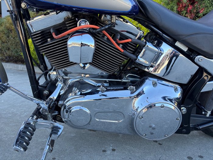 HARLEY-DAVIDSON 2008 HARLEY DAVIDSON 1584CC SOFTAIL CUSTOM