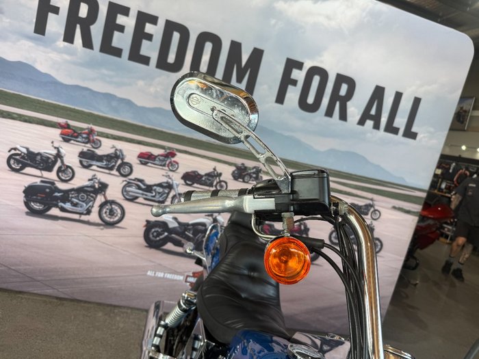 2002 Harley-davidson FXDWG DYNA WIDE GLIDE Blue