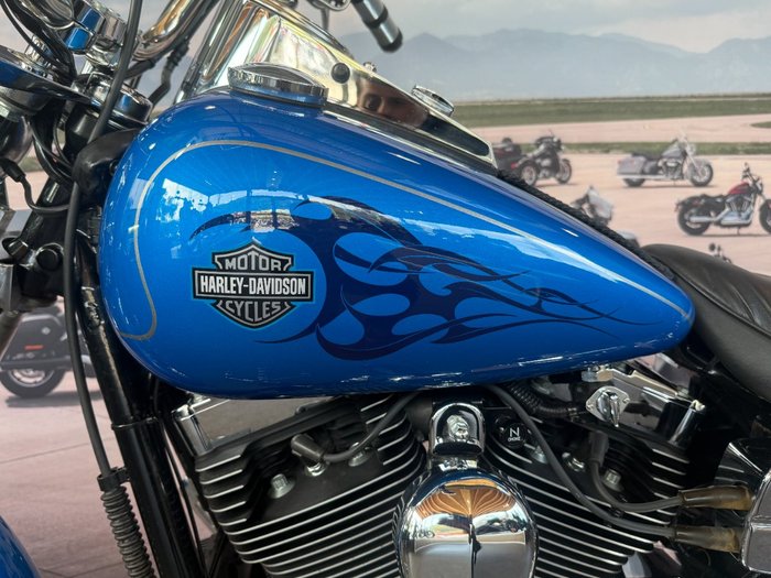 2002 Harley-davidson FXDWG DYNA WIDE GLIDE Blue