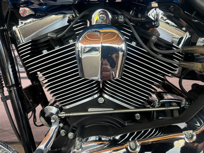 2002 Harley-davidson FXDWG DYNA WIDE GLIDE Blue