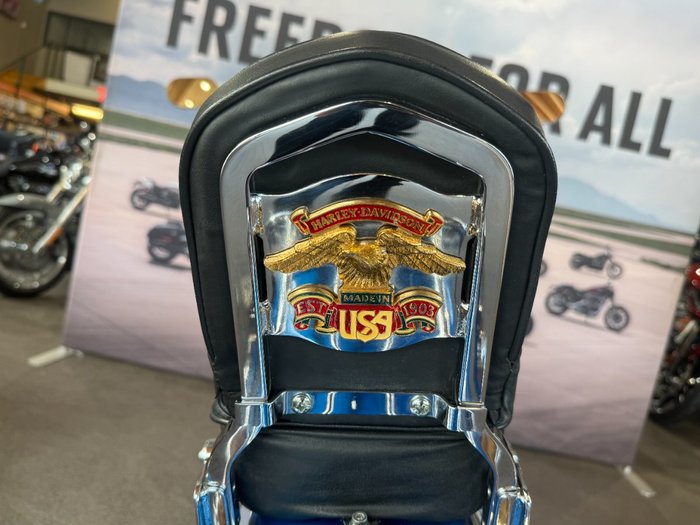 2002 Harley-davidson FXDWG DYNA WIDE GLIDE Blue