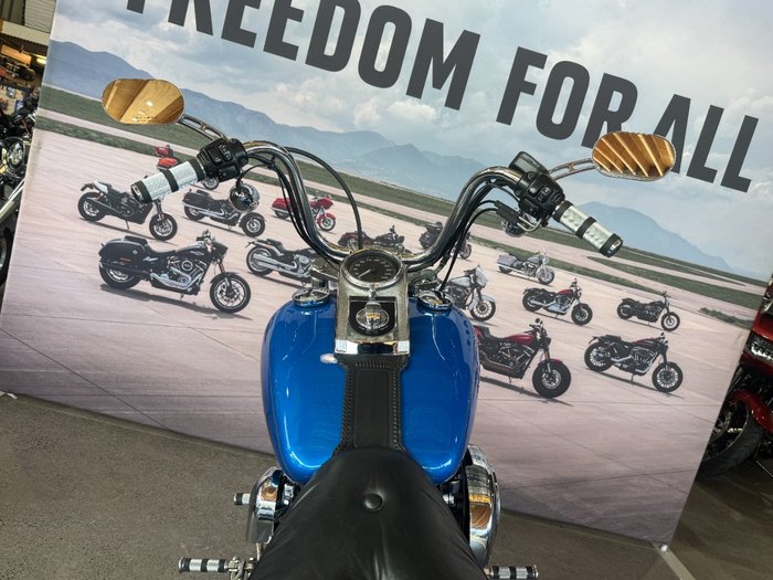 2002 Harley-davidson FXDWG DYNA WIDE GLIDE Blue